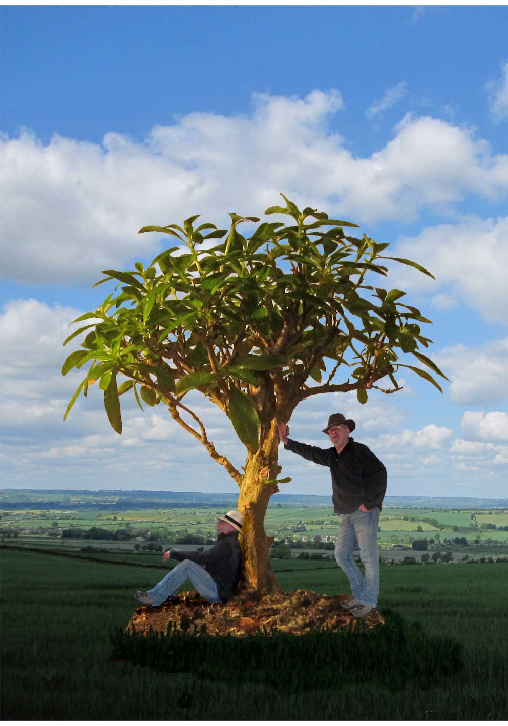 Miko photoshop...or is it???